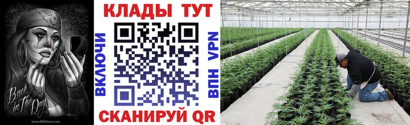 Названия наркотиков Куртамыш COCAIN  Бутират  Мефедрон 